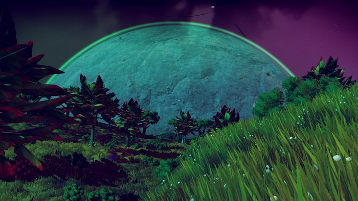 No Man's Sky screenshot with planet and alien flora