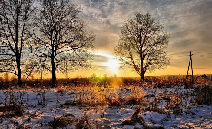 Winter sunset over a snowy field with trees