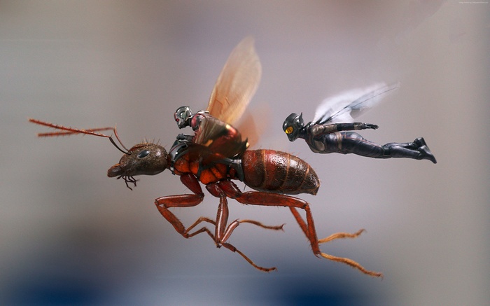 Ant-Man and The Wasp riding an ant