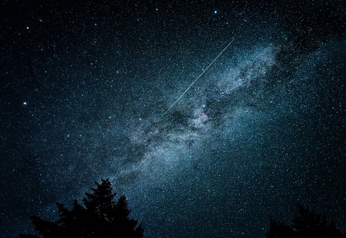 Milky Way galaxy with a shooting star over pine trees