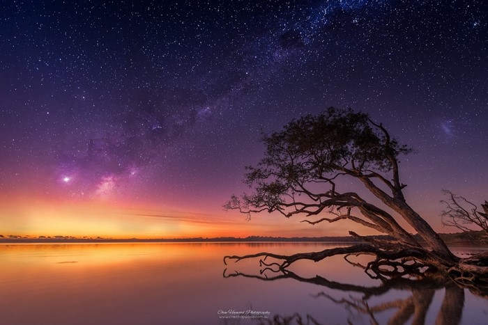 Milky Way over a tree and calm water at sunset