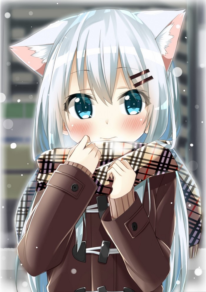 Anime girl with white hair, cat ears, and blue eyes wearing a scarf