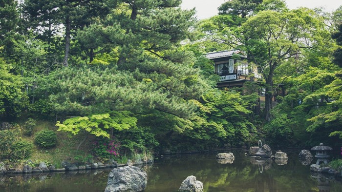 Japanese garden with pond and traditional house