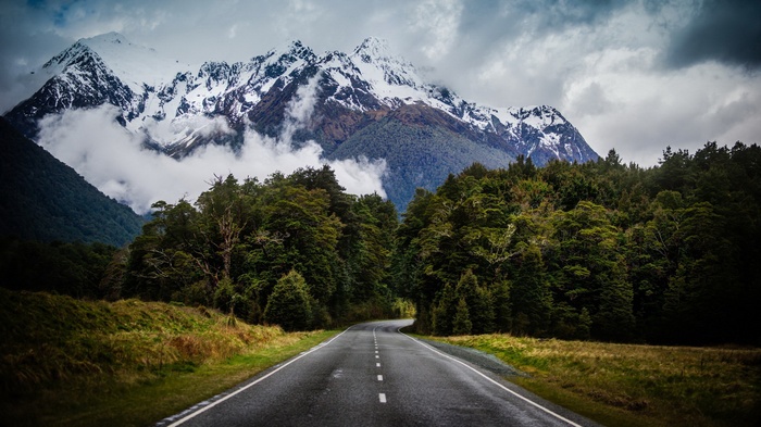 Winding road through forest towards snow-capped mountains