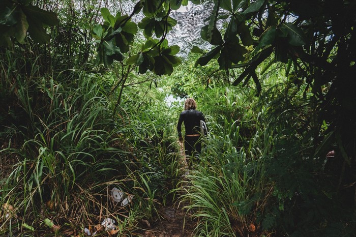 Surfer walking through dense jungle vegetation
