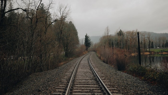 Train tracks curve through a forest by a body of water