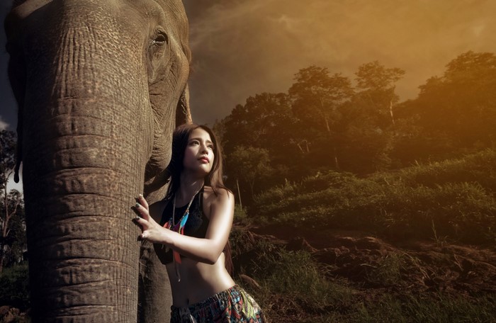 Woman and elephant in a forest