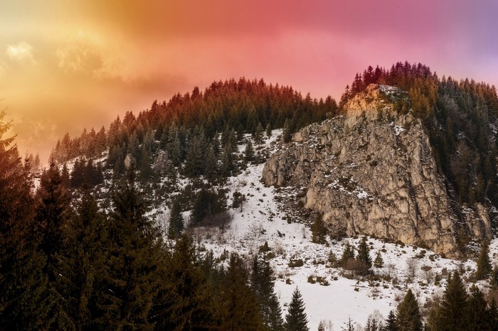 Snowy mountain slope with pine trees and colorful sky