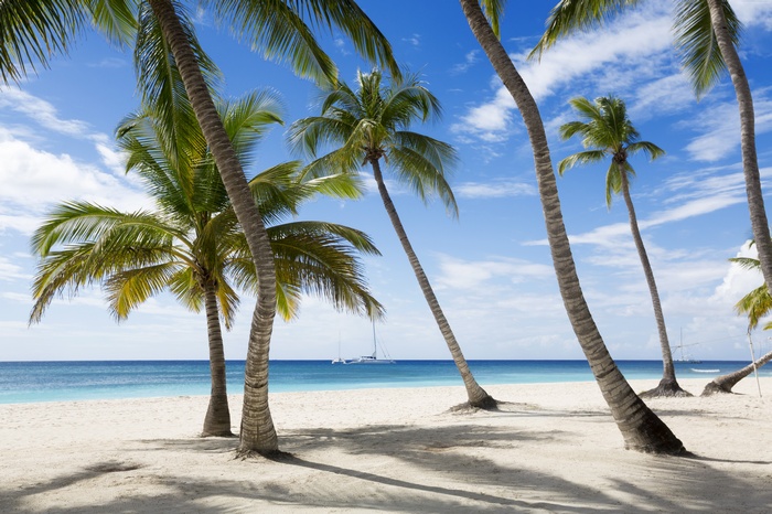 5k, palms, travel, sky, beach, tourism, 4k, The Caribbean, Jamaika