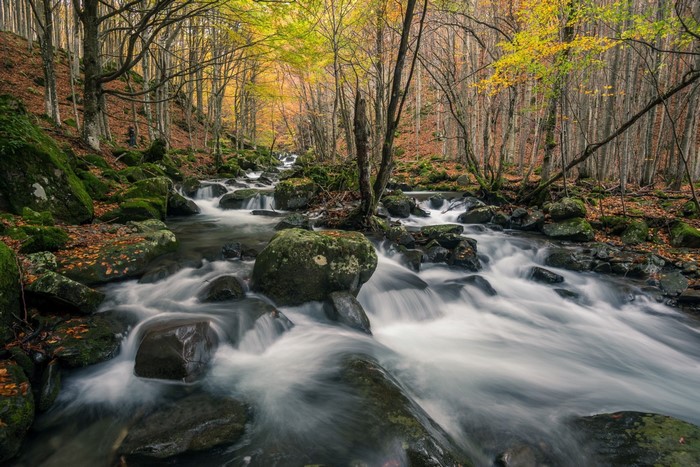 Autumn forest stream with mossy rocks and flowing water