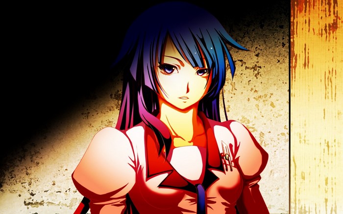 Hitagi Senjougahara from Monogatari Series