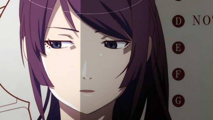 Hitagi Senjougahara from Monogatari Series
