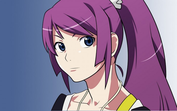 Senjougahara Hitagi from Monogatari Series