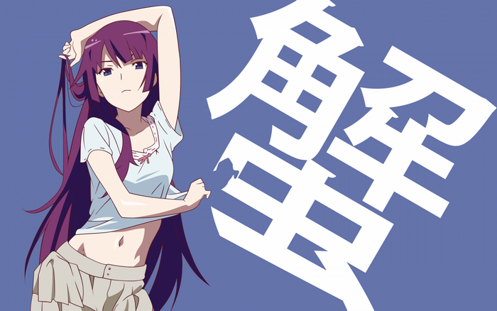 Senjougahara Hitagi from Monogatari Series