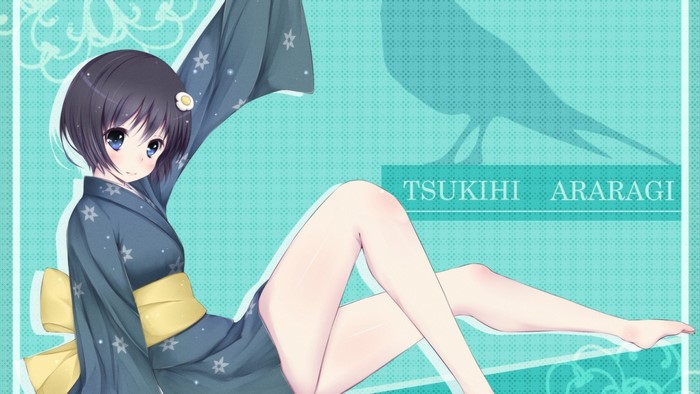 Tsukihhi Araragi from Monogatari Series