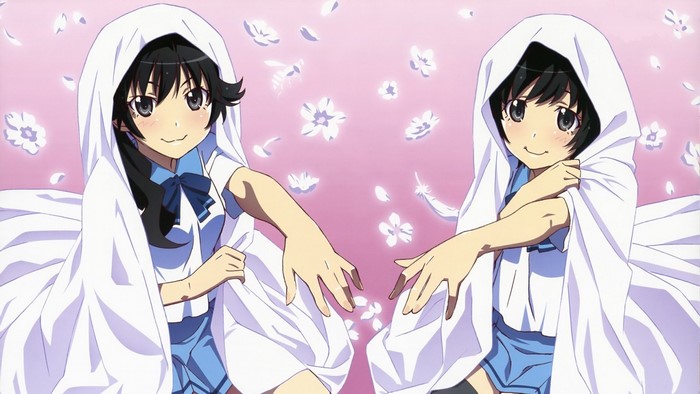 Araragi Karen and Araragi Tsukihi from Monogatari Series