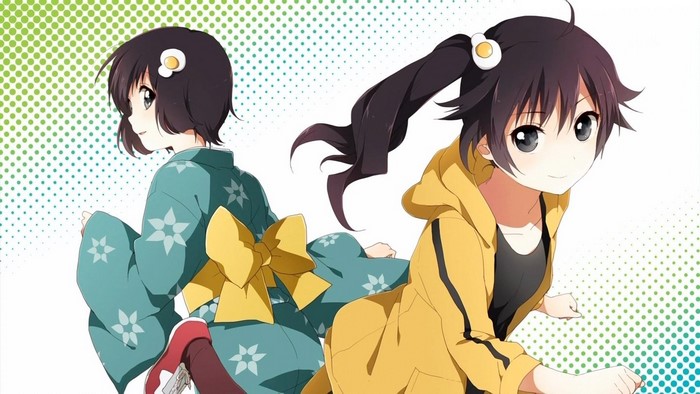 Araragi Karen and Araragi Tsukihi from Monogatari Series