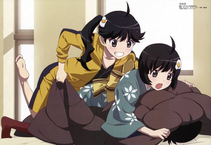 Araragi Karen and Araragi Tsukihi from Monogatari Series