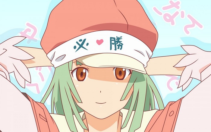 Sengoku Nadeko from Monogatari Series