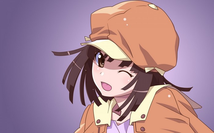Sengoku Nadeko from Monogatari Series
