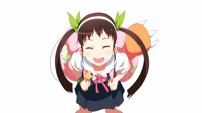Mayoi Hachikuji from Monogatari Series