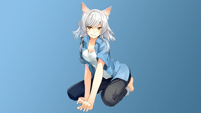 Hanekawa Tsubasa from Monogatari Series