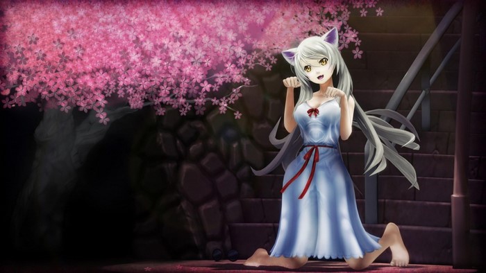 Hanekawa Tsubasa from Monogatari Series
