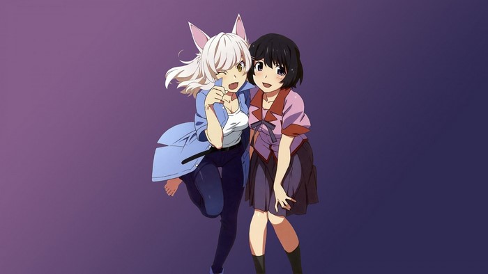 Hanekawa Tsubasa and Senjougahara Hitagi from Monogatari Series