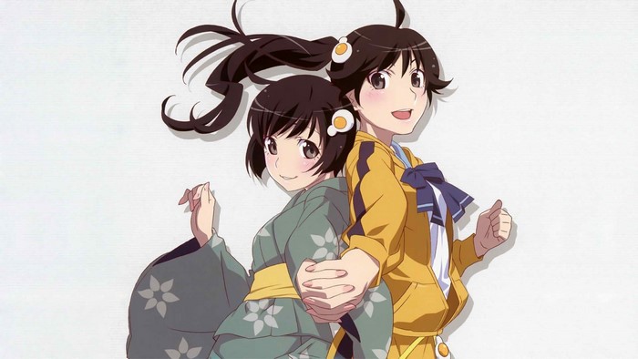 Araragi Karen and Araragi Tsukihi from Monogatari Series