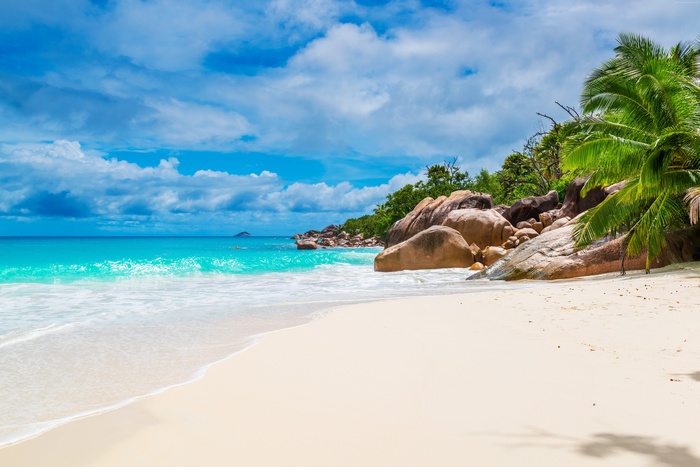 ocean, sky, coast, 5K, palm, beach, Seychelles, Maldives