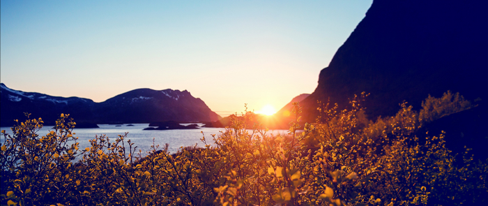 Sunset over a calm sea with mountains and foreground foliage