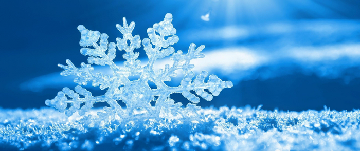 Close-up of a snowflake on snow