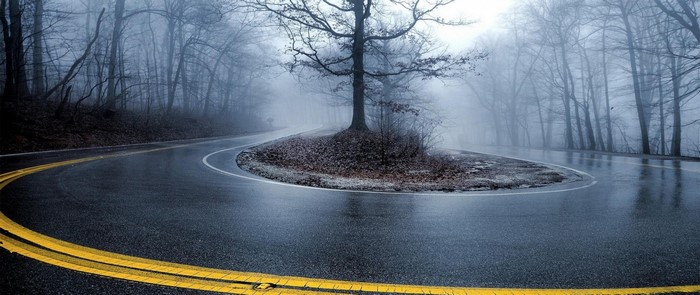 Winding Road Through a Misty Forest in Winter