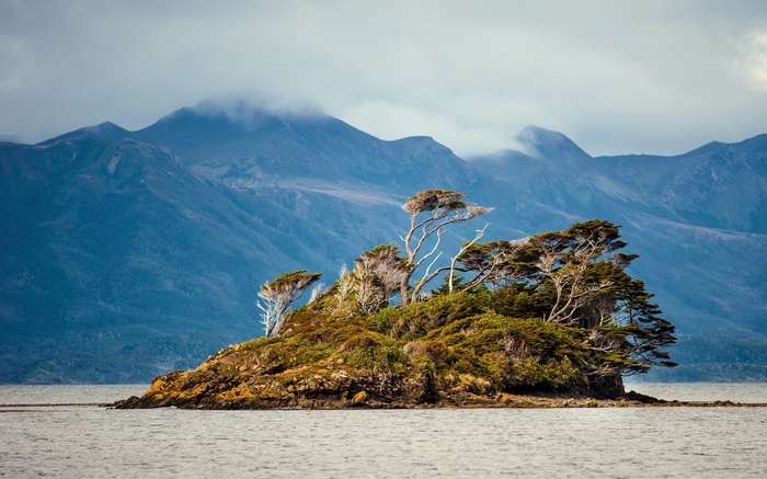 Island with trees and mountains in the background