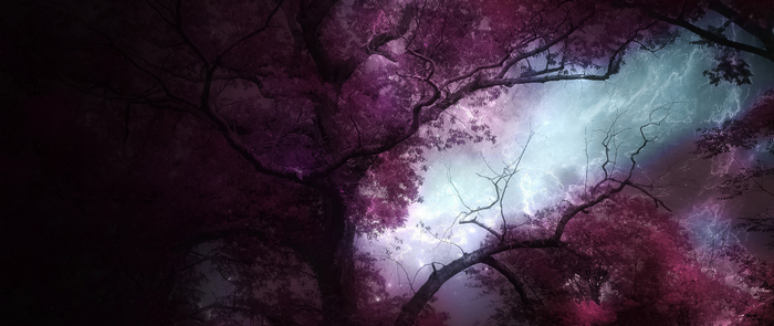 Fantasy forest with lightning storm