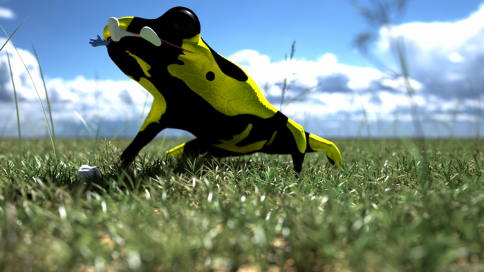 Yellow and black frog in grass