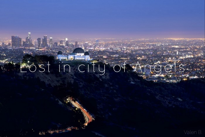 Lost in City of Angels Los Angeles Skyline at Night