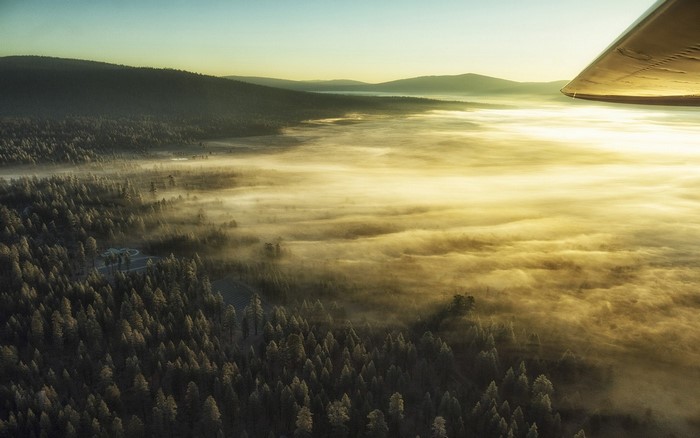 Aerial view of forest and fog at sunrise