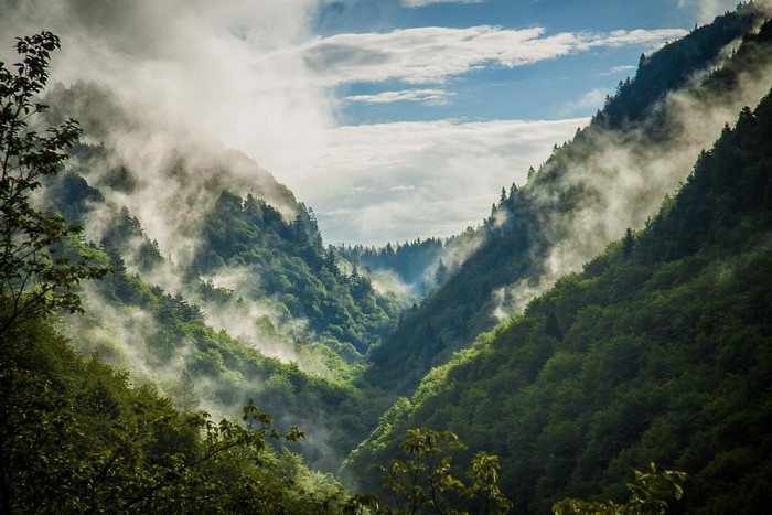 Misty valley with green mountains and sunlight