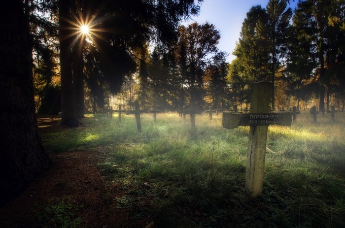Sunlight filtering through trees in a misty graveyard with crosses