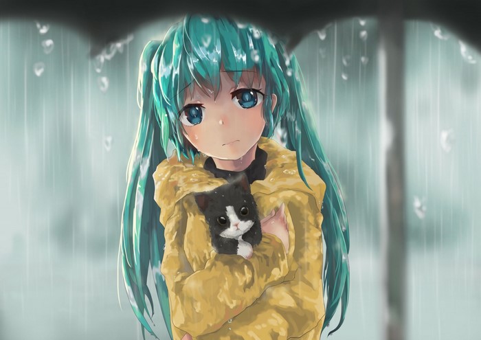 Hatsune Miku holding a cat in the rain