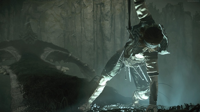 Wander from Shadow of the Colossus 4K
