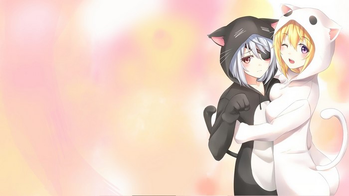 Charlotte Dunois and Laura Bodewig from Infinite Stratos