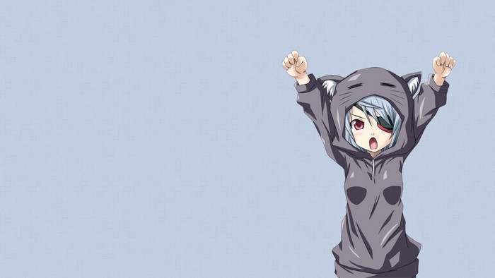 Laura Bodewig from Infinite Stratos in cat hoodie