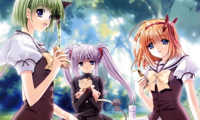 Three anime girls with cats in a forest