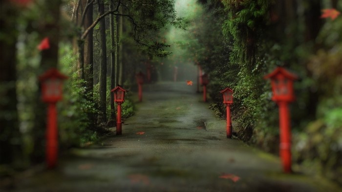 Red lanterns line a foggy forest path in autumn