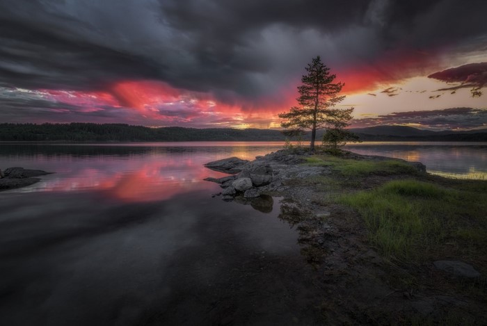 Dramatic sunset over a calm lake with a lone tree on a rocky island