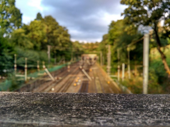 Railway tracks with trees and cloudy sky