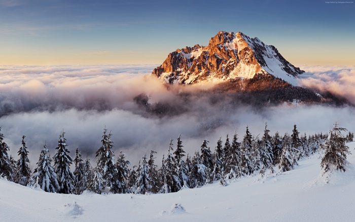 Snowy mountain peak above clouds and forest