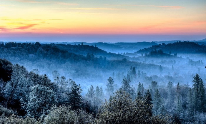 Misty Hills at Sunrise with Frosty Trees